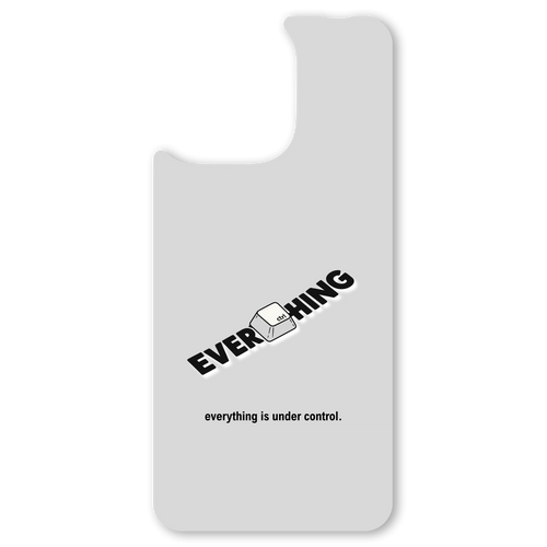 The Everything Is Under Control interchangeable magnetic backplate is displayed on an iPhone 15.